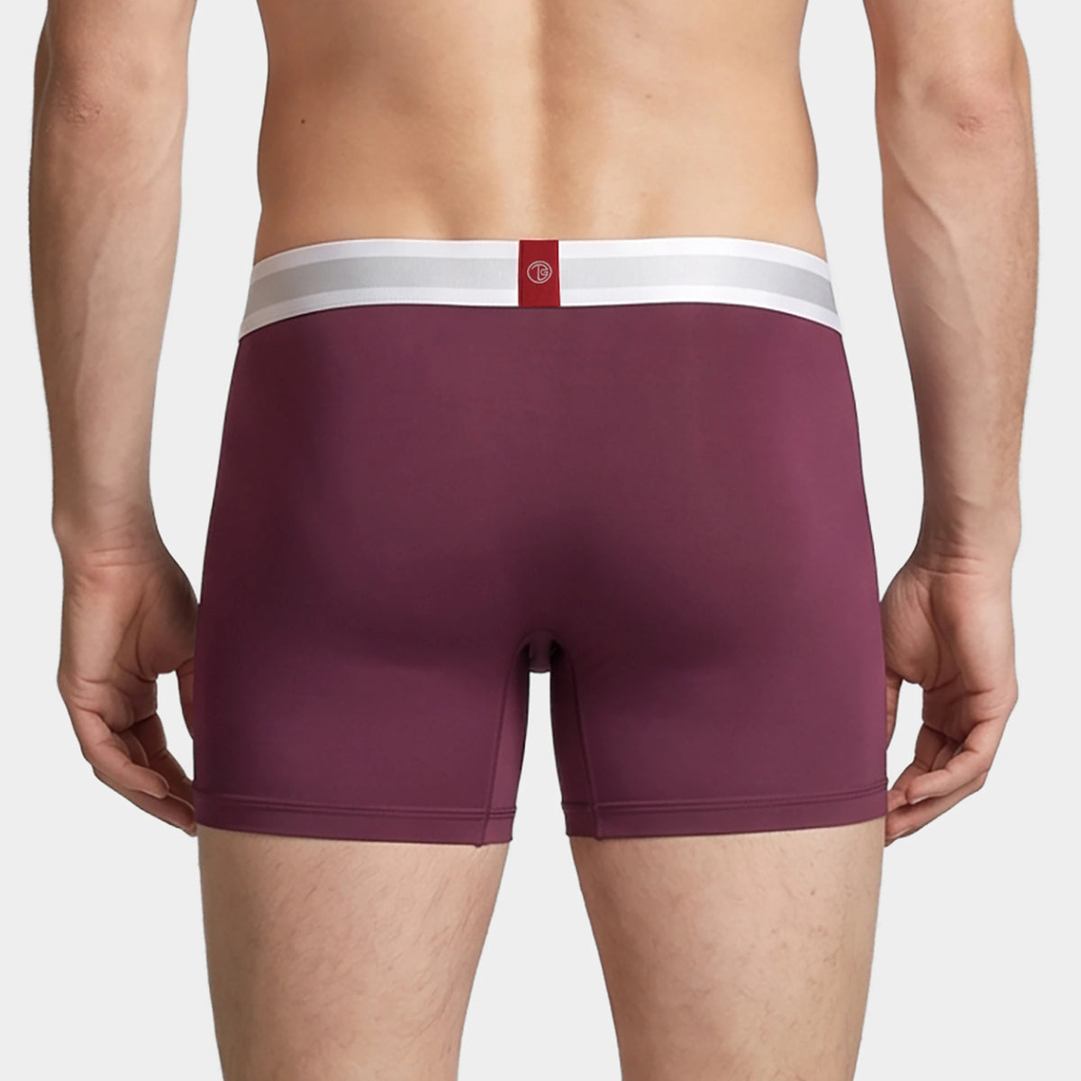 Globetrotter Boxer